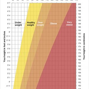 Loss Quick Weight - Weight Loss - Fat Vanish